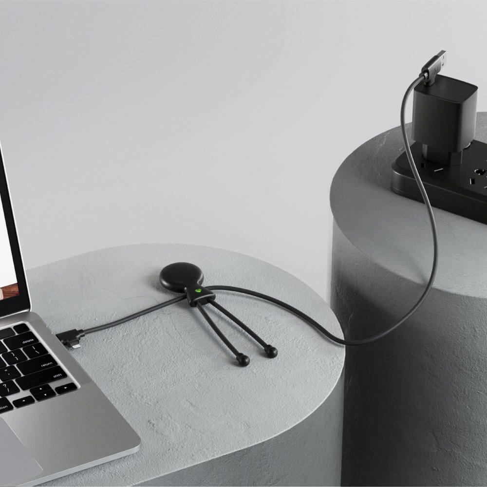 2089 | Xoopar Mr. Bio Long Power Delivery Oplaadkabel